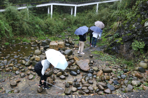 QQ图片20190325161853