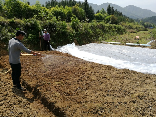 QQ图片20180410154910