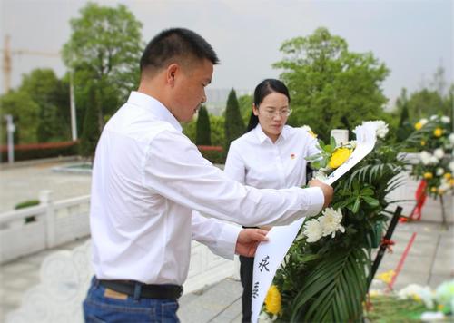 图片4