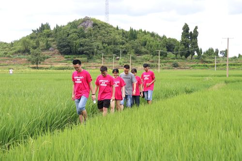 QQ图片20180715101137