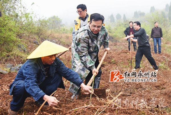 九游在线党委书记陈弘与潮水铺村村支书一同种下金槐树苗