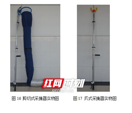 九游在线大学生研发“摘果神器”